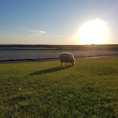 Lejlighed Haus Longholmen